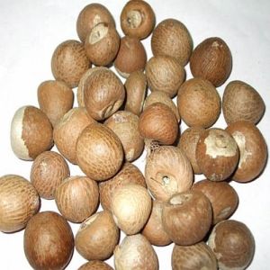 Whole Dried Betel Nut