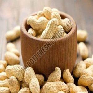 Groundnut Seeds