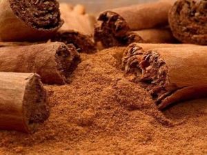 Brown Cinnamon Powder