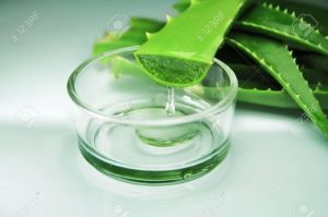 Transparent Herbal Aloe Vera Gel