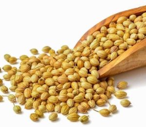 Whole Bold Grade Coriander Seeds