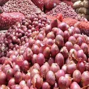 A Grade Fresh Red Onion