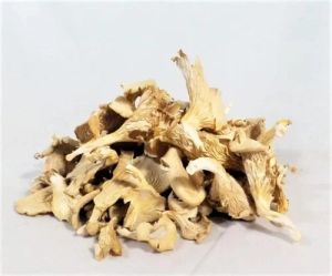 Dried Mushroom Flakes