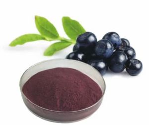 Rich Antioxidants Blueberry Powder