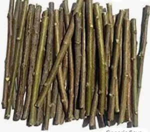 Natural Neem Chew Sticks