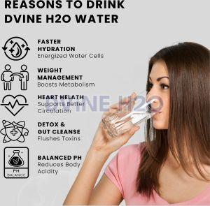 Titan Force 111 Semi-Commercial Alkaline Water Ionizer 11-plates Midnight