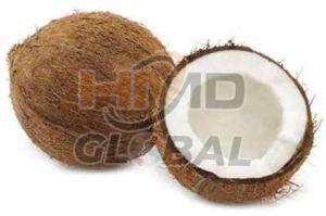 A Grade Fresh Coconut