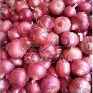 A Grade Fresh Maharashtra Red Onion