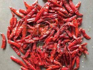 Dried Red Chili