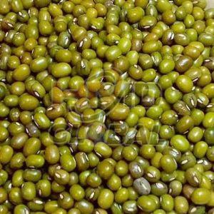Green Whole Moong Bean