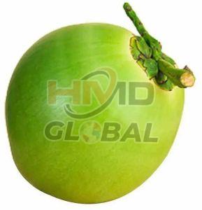 Whole A Grade Fresh Tender Coconut