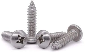 Stainless Steel Raised Head Screw