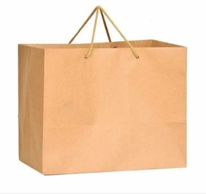 Brown Plain Eco Paper Bag