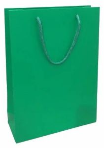 Green Plain Paper Shopping Bag