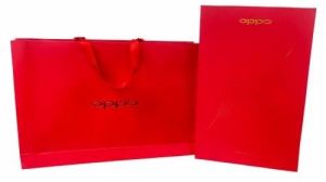 Luxury Printed Paper Carry Bag