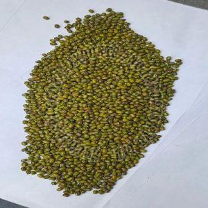 Whole Green Moong Dal