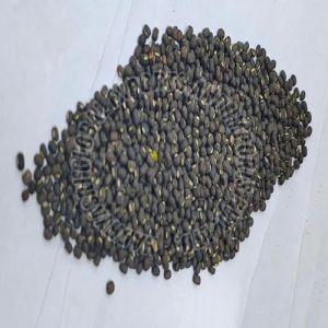 Whole Black Urad Dal