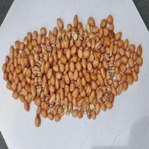 Groundnut Seeds