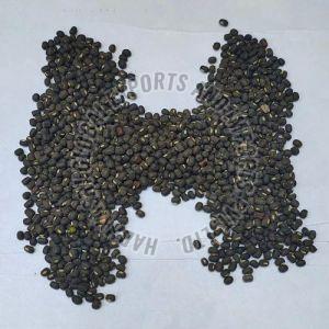 Whole Black Urad Dal