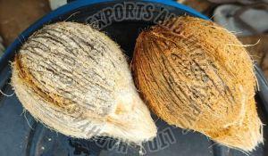 Semi Husked Coconut