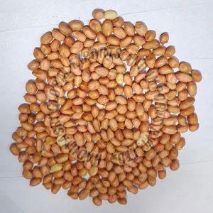 Groundnut Seeds
