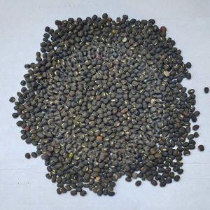 Whole Black Urad Dal