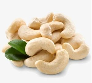 Fresh Cashew Nuts