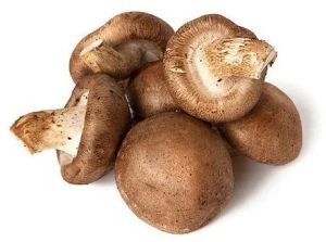 Shiitake Mushroom