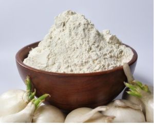 Dehydrated White Onion Powder