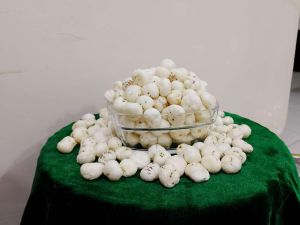 5 Suta Phool Makhana