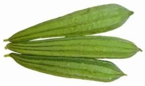 Fresh A Grade Ridge Gourd