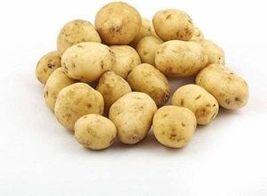 Fresh Baby Potatoes