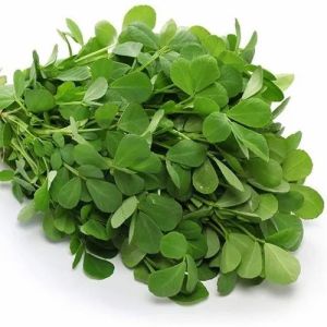 Fresh Fenugreek Leaves