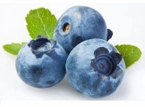 Fresh Juicy Blueberries