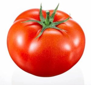 Fresh Red Tomato