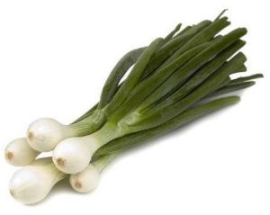 Fresh Spring Onions