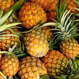 Fresh Sweet Pineapples