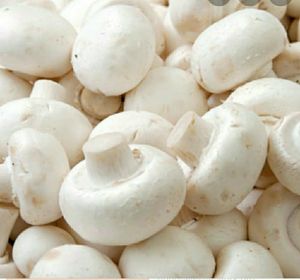 Fresh White Button Mushrooms