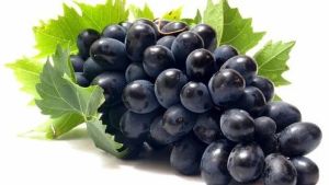 Sweet Black Grapes
