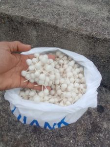 White Cotton Wicks