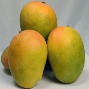 A Grade Kesar Mango