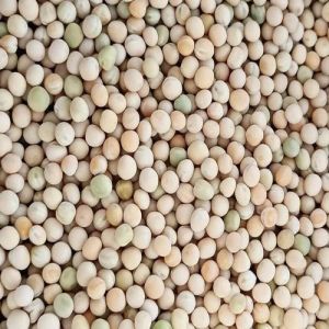 Whole White Peas Beans