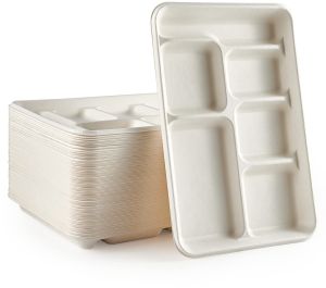 Disposable Bagasse Compartment Plate