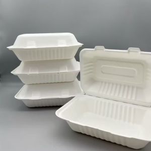 Sugarcane Bagasse Disposable Clamshell