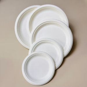 Sugarcane Bagasse Round Plate