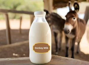 FRESH DONKEY MILK
