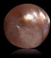 2.18 Carat Natural Basra Pearl Stone