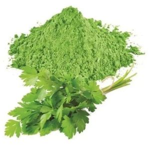 Dehydrated Coriander Leaves Powder