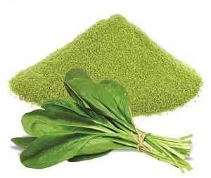 Dehydrated Spinach Powder