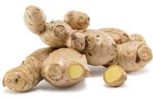 Fresh Ginger